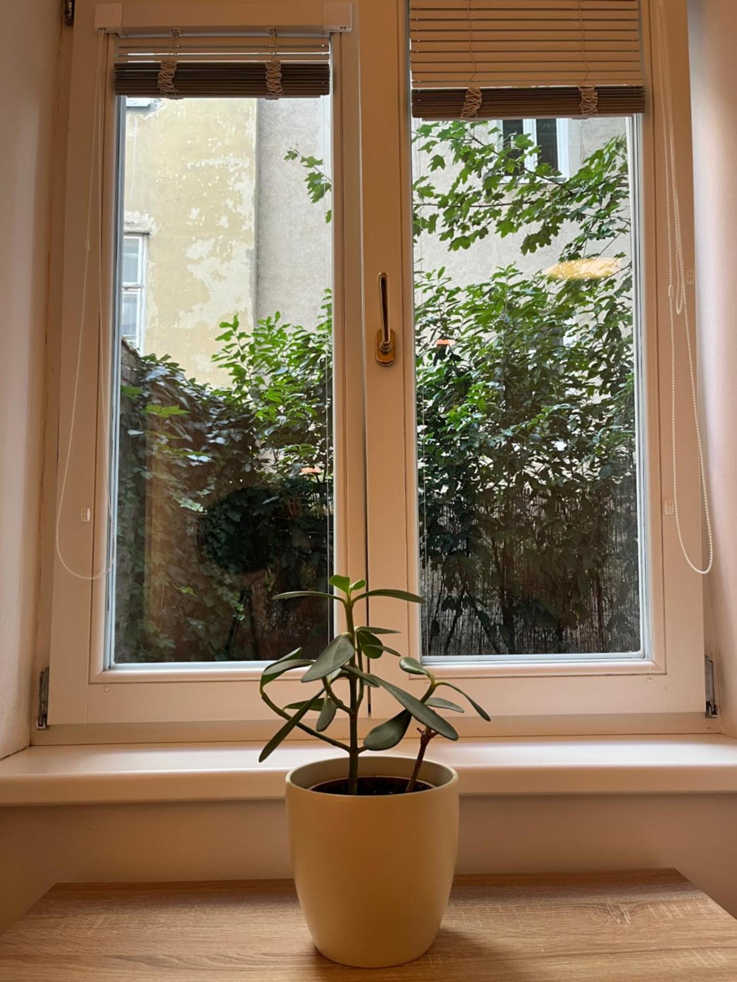 Quiet Apartment Next To Belvedere & Central Station Viena Exterior foto